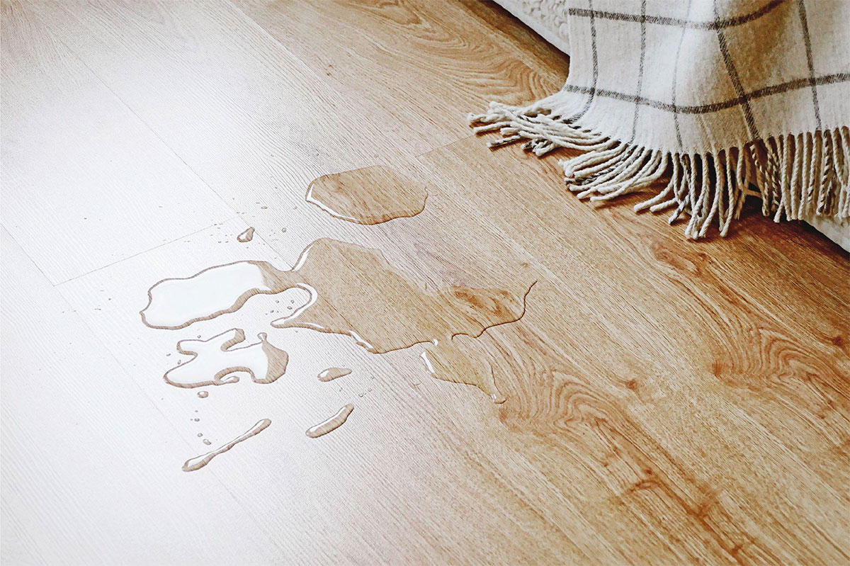 Water pooling and staining wood flooring, one of the visible signs of a water leak in Plano home